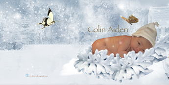 colin aiden